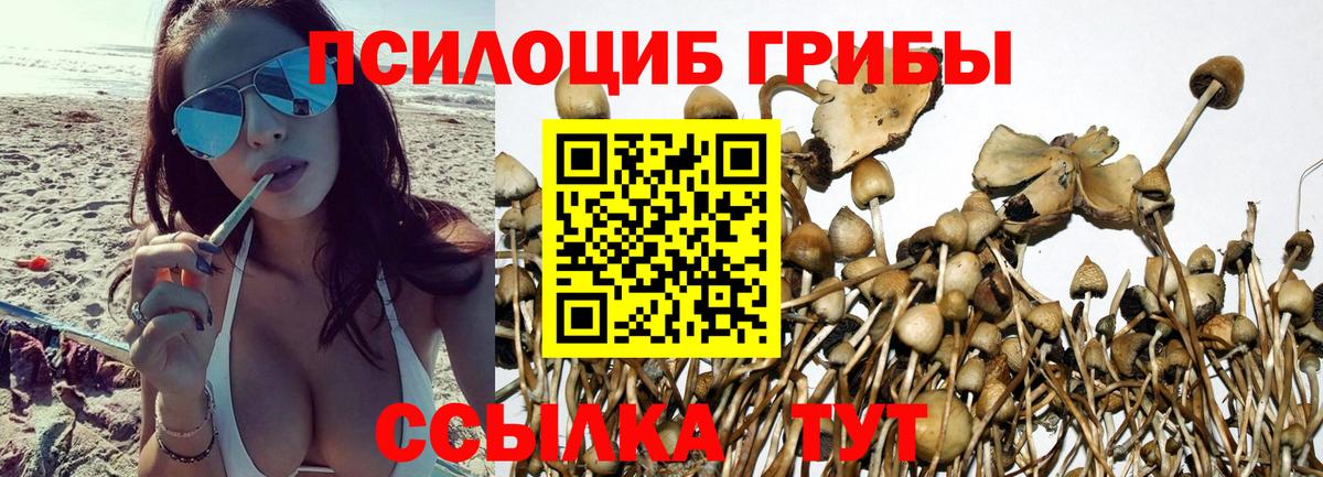 Галлюциногенные грибы прущие грибы  Вход с VPN  наркошоп  Лангепас  Галлюциногенные грибы GOLDEN TEACHER 