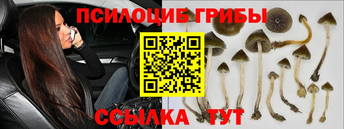 Галлюциногенные грибы прущие грибы Лангепас